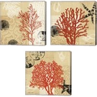 Framed 'Coral Impressions 3 Piece Canvas Print Set' border=