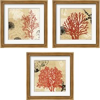 Framed Coral Impressions 3 Piece Framed Art Print Set