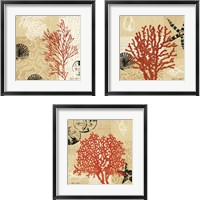 Framed 'Coral Impressions 3 Piece Framed Art Print Set' border=