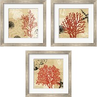 Framed Coral Impressions 3 Piece Framed Art Print Set