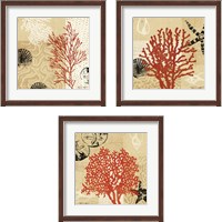 Framed Coral Impressions 3 Piece Framed Art Print Set