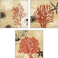 Framed Coral Impressions 3 Piece Art Print Set