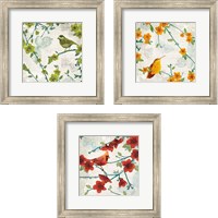 Framed Birds and Butterflies 3 Piece Framed Art Print Set