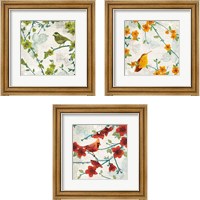 Framed 'Birds and Butterflies 3 Piece Framed Art Print Set' border=