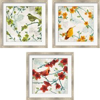 Framed Birds and Butterflies 3 Piece Framed Art Print Set