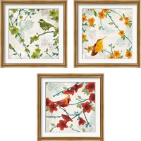 Framed 'Birds and Butterflies 3 Piece Framed Art Print Set' border=