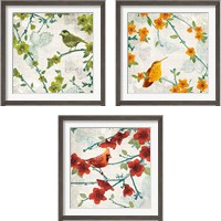 Framed 'Birds and Butterflies 3 Piece Framed Art Print Set' border=