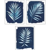Framed 'Nature By The Lake - Frond 3 Piece Art Print Set' border=