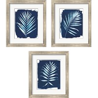 Framed Nature By The Lake - Frond 3 Piece Framed Art Print Set