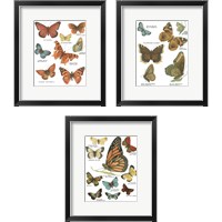 Framed Botanical Butterflies Postcard White 3 Piece Framed Art Print Set