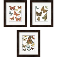 Framed 'Botanical Butterflies Postcard White 3 Piece Framed Art Print Set' border=