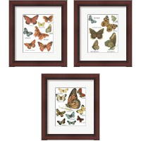 Framed Botanical Butterflies Postcard White 3 Piece Framed Art Print Set