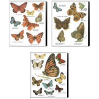 Framed Botanical Butterflies Postcard White 3 Piece Canvas Print Set