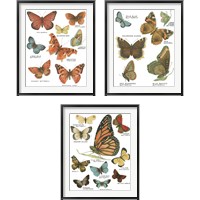 Framed 'Botanical Butterflies Postcard White 3 Piece Framed Art Print Set' border=