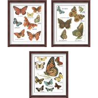 Framed Botanical Butterflies Postcard White 3 Piece Framed Art Print Set
