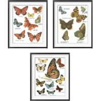 Framed 'Botanical Butterflies Postcard White 3 Piece Framed Art Print Set' border=