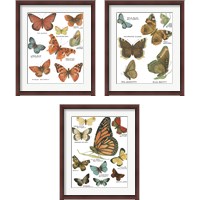 Framed Botanical Butterflies Postcard White 3 Piece Framed Art Print Set