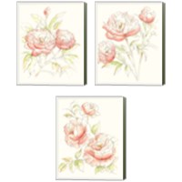 Framed 'Watercolor Floral Variety 3 Piece Canvas Print Set' border=