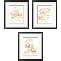 Framed 'Watercolor Floral Variety 3 Piece Framed Art Print Set' border=