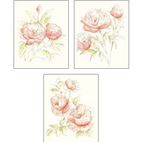 Framed 'Watercolor Floral Variety 3 Piece Art Print Set' border=