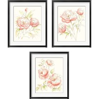 Framed 'Watercolor Floral Variety 3 Piece Framed Art Print Set' border=