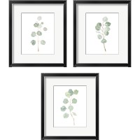 Framed 'Soft Eucalyptus Branch 3 Piece Framed Art Print Set' border=