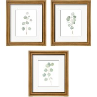 Framed Soft Eucalyptus Branch 3 Piece Framed Art Print Set