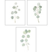 Framed Soft Eucalyptus Branch 3 Piece Art Print Set