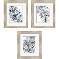 Framed 'Blue Feathered Palm 3 Piece Framed Art Print Set' border=