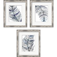 Framed 'Blue Feathered Palm 3 Piece Framed Art Print Set' border=