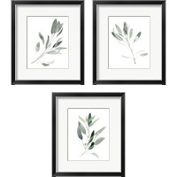 Framed Simple Sage 3 Piece Framed Art Print Set