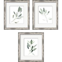 Framed 'Simple Sage 3 Piece Framed Art Print Set' border=