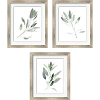 Framed 'Simple Sage 3 Piece Framed Art Print Set' border=