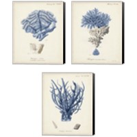 Framed Antique Coral in Navy 3 Piece Canvas Print Set