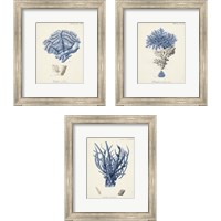 Framed Antique Coral in Navy 3 Piece Framed Art Print Set