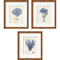 Framed 'Antique Coral in Navy 3 Piece Framed Art Print Set' border=