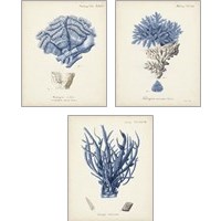 Framed Antique Coral in Navy 3 Piece Art Print Set