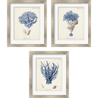 Framed 'Antique Coral in Navy 3 Piece Framed Art Print Set' border=
