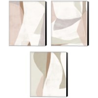 Framed Symphonic Shapes 3 Piece Canvas Print Set