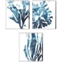 Framed 'Inkwash Kelp 3 Piece Canvas Print Set' border=