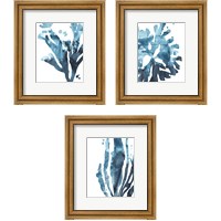 Framed Inkwash Kelp 3 Piece Framed Art Print Set