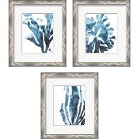 Framed 'Inkwash Kelp 3 Piece Framed Art Print Set' border=