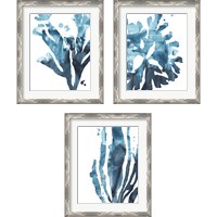 Framed 'Inkwash Kelp 3 Piece Framed Art Print Set' border=