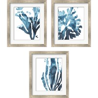 Framed Inkwash Kelp 3 Piece Framed Art Print Set