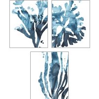 Framed Inkwash Kelp 3 Piece Art Print Set
