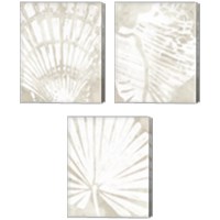 Framed Linen Tropical Silhouette 3 Piece Canvas Print Set