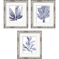 Framed 'Living Under Sea 3 Piece Framed Art Print Set' border=