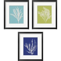 Framed 'Seaweed Pop 3 Piece Framed Art Print Set' border=