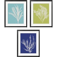 Framed 'Seaweed Pop 3 Piece Framed Art Print Set' border=