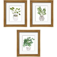Framed Plant in a Pot 3 Piece Framed Art Print Set